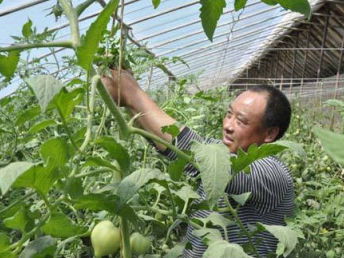 沙井農產品配送公司 以質量與服務雙輪驅動，護航深圳餐飲美食產業鏈
