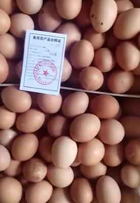 科左中旗發出首張食用農產品合格證，農產品質量安全管理邁入新階段